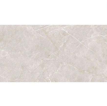 REVESTIMENTO RETIFICADO 31142 SILVER 31X55 - CRISTOFFOLETTI